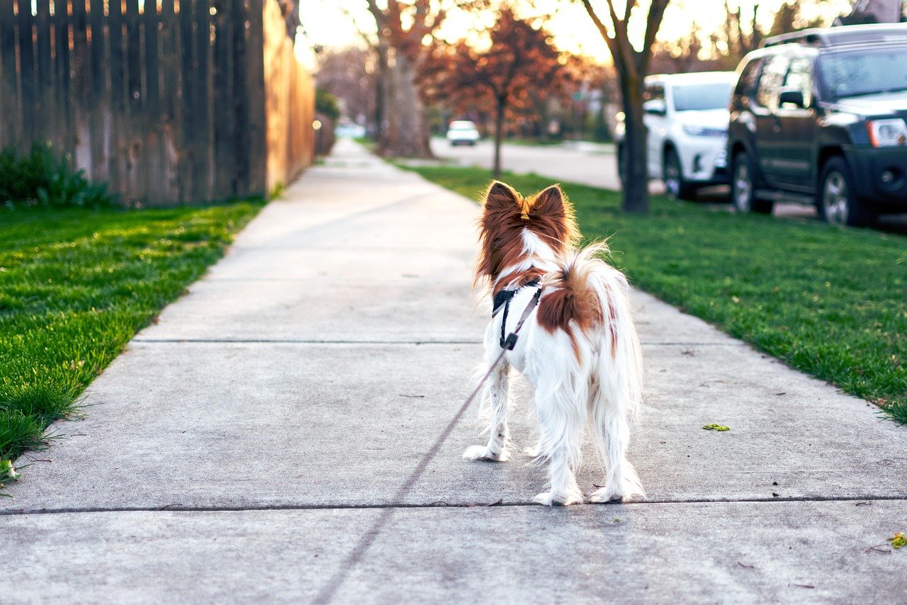 Neighborhood Analysis: Choosing the Right Area for Your Investment